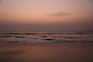 Indien-Goa_Benaulim2015-16.k